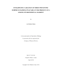 Intraspecific Variation of Three Phenotypic Morphs of Daphnia Pulicaria in the Presence of a Strong Environmnetal Gradient