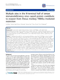 Multiple Sites in the N-Terminal Half of Simian Immunodeficiency Virus