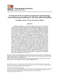 Neutron Tomography in Palaeontology: Three-Dimensional Modelling of in Situ Resin Within Fossil Plants