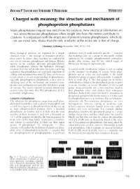 The Structure and Mechanism of Phosphoprotein Phosphatases Many Phosphatases Require Two Metal Ions for Catalysis