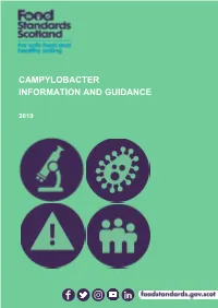 Campylobacter Information and Guidance