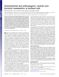 Environmental and Anthropogenic Controls Over Bacterial Communities in Wetland Soils