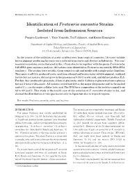 Identification of Frateuria Aurantia Strains Isolated from Indonesian Sources