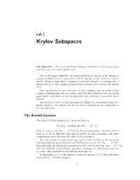 Krylov Subspaces