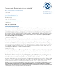 Non-Compete Clauses: Protection Or Restraint?