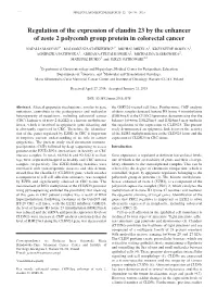 Regulation of the Expression of Claudin 23 by the Enhancer of Zeste 2 Polycomb Group Protein in Colorectal Cancer
