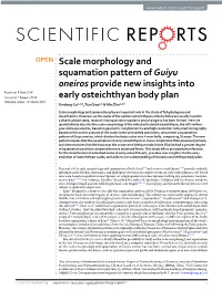 Scale Morphology and Squamation Pattern of Guiyu Oneiros Provide