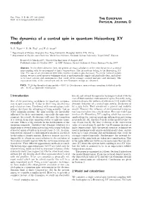 The Dynamics of a Central Spin in Quantum Heisenberg XY Model