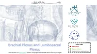 4-Brachial Plexus and Lumbosacral Plexus (Edited).Pdf