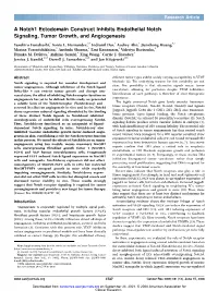 A Notch1 Ectodomain Construct Inhibits Endothelial Notch Signaling, Tumor Growth, and Angiogenesis