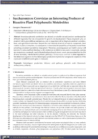 Saccharomyces Cerevisiae an Interesting Producer of Bioactive