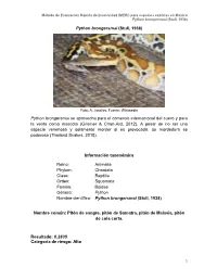 Python Brongersmai (Stull, 1938) Python Brongersmai Se Aprovecha