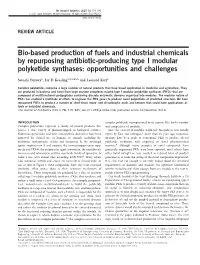 Bio-Based Production of Fuels and Industrial Chemicals by Repurposing Antibiotic-Producing Type I Modular Polyketide Synthases: Opportunities and Challenges