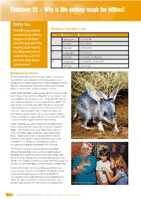 Factsheet 22 – Why Is Life Getting Tough for Bilbies?