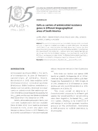 Gulls As Carriers of Antimicrobial Resistance Genes in Different Laboratory Work and in the Conceptualization, Methodology, Biogeographical Areas of South America