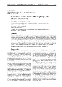 Carabidae As Natural Enemies of the Raspberry Beetle (Byturus Tomentosus F.)
