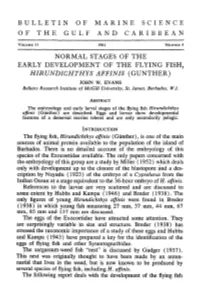 Normal Stages of the Early Development of the Flying Fish, &lt;I