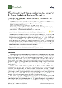 Oxidation of 5-Methylaminomethyl Uridine (Mnm5u) by Oxone Leads to Aldonitrone Derivatives