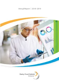 Report DFSV Annual Report 2018 2019