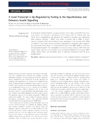 A Novel Transcript Is Upregulated by Fasting in the Hypothalamus and Enhances Insulin Signalling