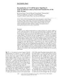 Brief Definitive Report ZAP- 70 Gene