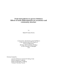 Effects of Niche Differentiation on Coexistence and Community Structure