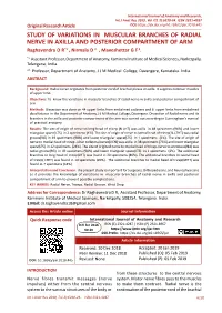 STUDY of VARIATIONS in MUSCULAR BRANCHES of RADIAL NERVE in AXILLA and POSTERIOR COMPARTMENT of ARM Raghavendra D R*1 , Nirmala D 2 , Maveshettar G F 3