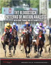Tht Bloodstock: Patterns of Motion Analysis with Kerry Thomas and Pete Denk