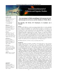 An Assessment of Fish Assemblages Between Protected and Non