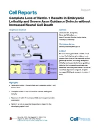 Complete Loss of Netrin-1 Results in Embryonic Lethality and Severe Axon Guidance Defects Without Increased Neural Cell Death