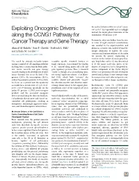 Exploiting Oncogenic Drivers Along the CCNG1 Pathway for Cancer