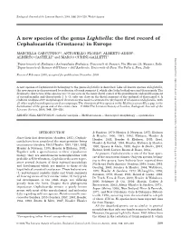 The First Record of Cephalocarida (Crustacea)