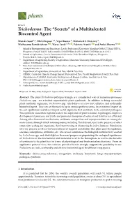 Trichoderma: the “Secrets” of a Multitalented Biocontrol Agent