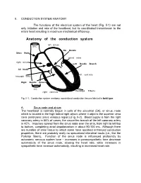 Anatomy of the Conduction System