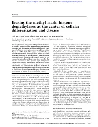 Histone Demethylases at the Center of Cellular Differentiation and Disease