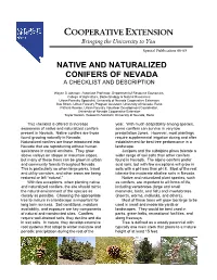 Native and Naturalized Conifers of Nevada a Checklist and Description