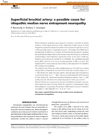 Superficial Brachial Artery: a Possible Cause for Idiopathic Median Nerve Entrapment Neuropathy P