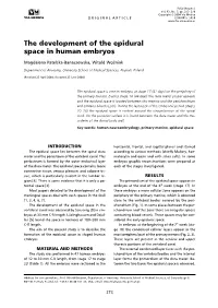 The Development of the Epidural Space in Human Embryos