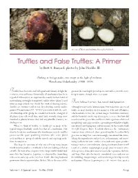 Truffles and False Truffles: a Primer by Britt A