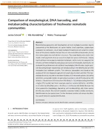 Comparison of Morphological, DNA Barcoding, and Metabarcoding Characterizations of Freshwater Nematode Communities