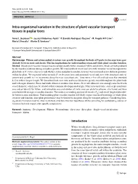 Intra-Organismal Variation in the Structure of Plant Vascular Transport Tissues in Poplar Trees