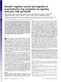 Neurod1 Regulates Survival and Migration of Neuroendocrine Lung Carcinomas Via Signaling Molecules Trkb and NCAM