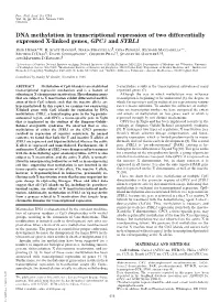 DNA Methylation in Transcriptional Repression of Two Differentially Expressed X-Linked Genes, GPC3 and SYBL1