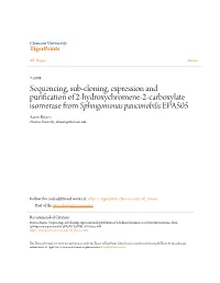 Sequencing, Sub-Cloning, Expression and Purification of 2