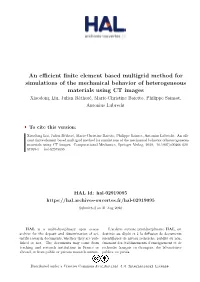 An Efficient Finite Element Based Multigrid Method for Simulations Of