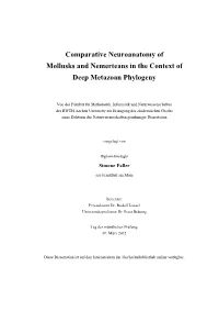 Comparative Neuroanatomy of Mollusks and Nemerteans in the Context of Deep Metazoan Phylogeny