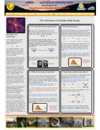 The Relevance of Double Beta Decay