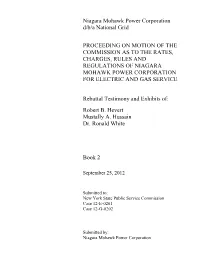 Niagara Mohawk Power Corporation D/B/A National Grid PROCEEDING