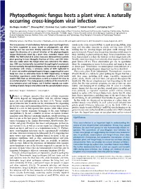 Phytopathogenic Fungus Hosts a Plant Virus: a Naturally Occurring Cross-Kingdom Viral Infection