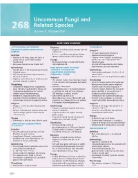 Uncommon Fungi and Related Species